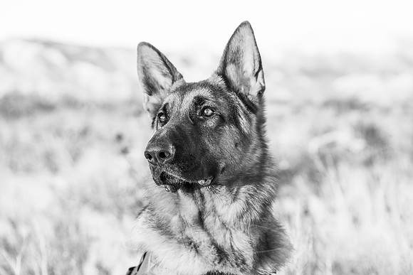 Duke-Jan2014-17-2