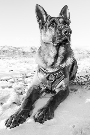 Duke-Jan2014-27-2