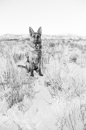 Duke-Jan2014-15-2