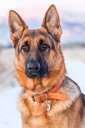 Duke-Jan2014-1-2